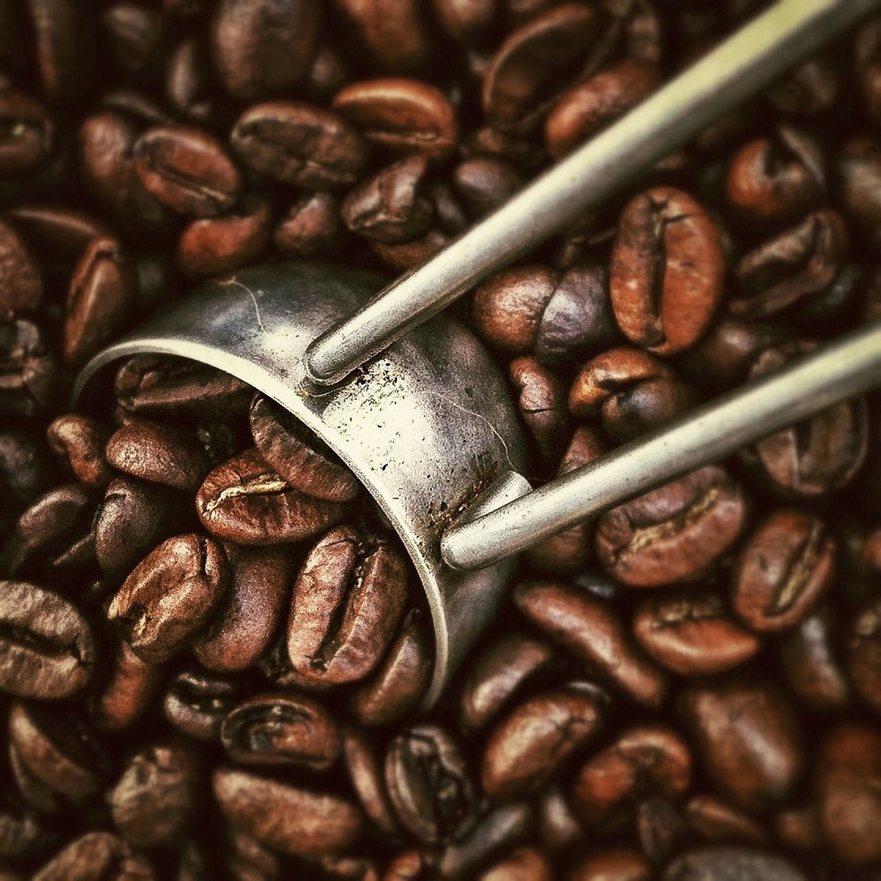 El fabuloso proceso del café