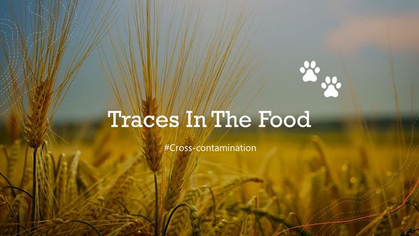 Traces In The Food